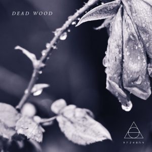 DEAD WOOD